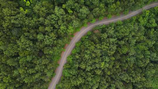 空中俯瞰森林中蜿蜒的公路