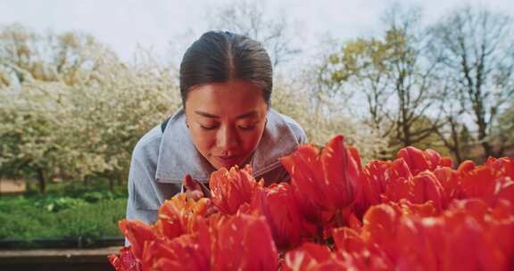 气味，郁金香，鲜花，女人