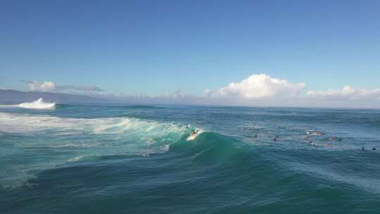 游客在海洋冲浪