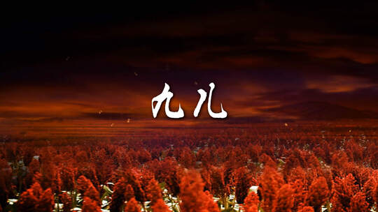 九儿 韩红歌曲舞台LED大屏幕背景视频素材