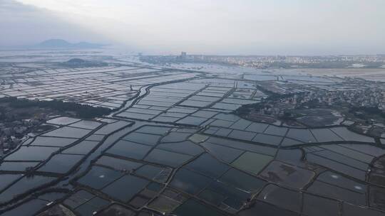 广东沿海养殖基地航拍