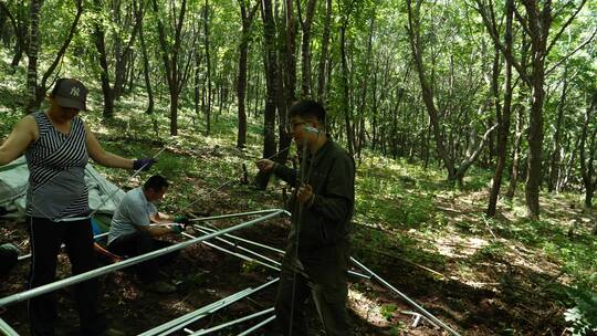 长白山地区挖人参的农民