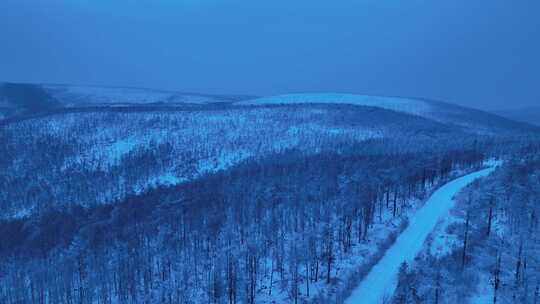 航拍晨曦蓝调林海雪原