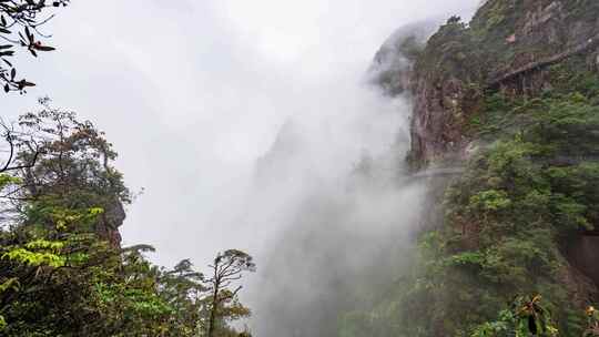 湖南郴州宜章莽山五指峰雨后云海