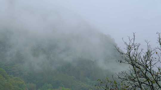 初秋雨中山脉云雾缭绕的绝美自然风光