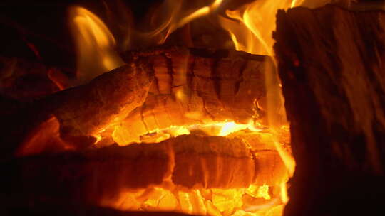 燃烧的火焰木炭篝火取暖视频素材模板下载