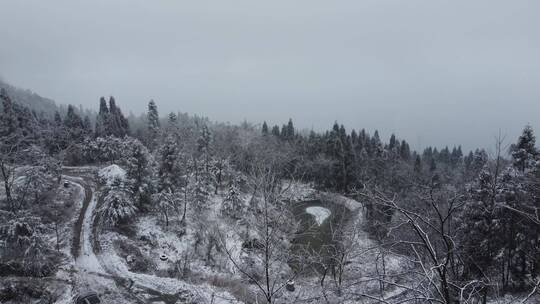 雪山上的路