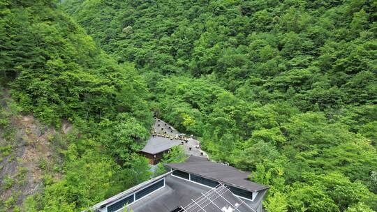 湖北神农架5A景区官门山