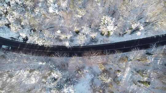 雪林中道路的鸟瞰图