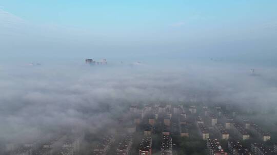 上海锦江乐园日出平流雾航拍