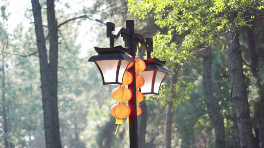 清晨公园路灯杆上橘黄色新年灯笼在风中摆动视频素材模板下载