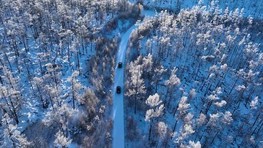 林海雪原 唯美高山雾凇