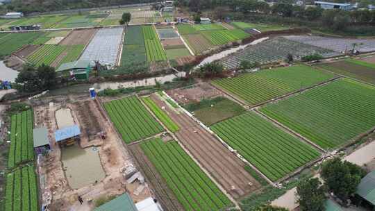 广东农业基地航拍