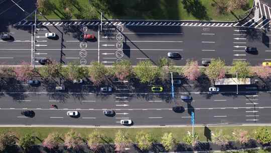 花卉盛开的广州道路交通航拍