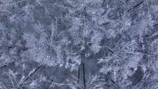 航拍东北下暴雪林海雪原威虎山