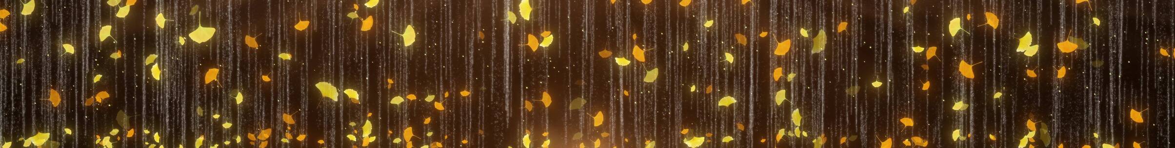 银杏 树叶飘落 秋天风景
