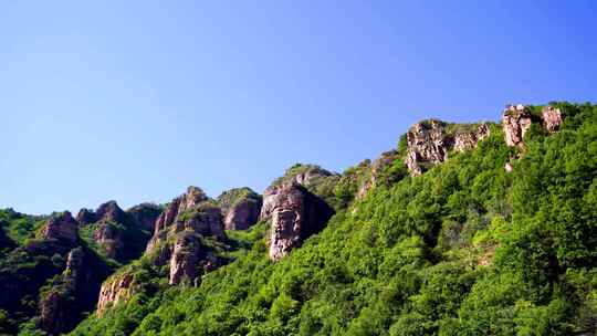 紫金山 青山绿水  潺潺流水 瀑布水流