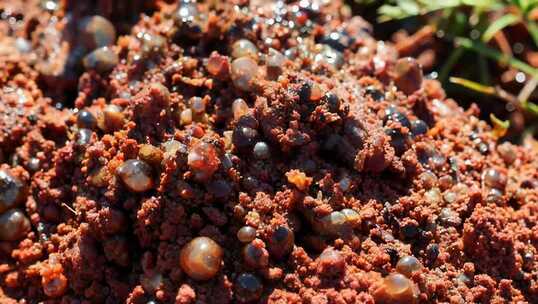 微距特写红色土壤与颗粒
