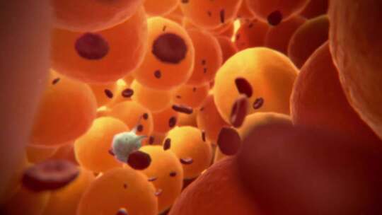 巨噬细胞新陈代谢医疗细胞高清