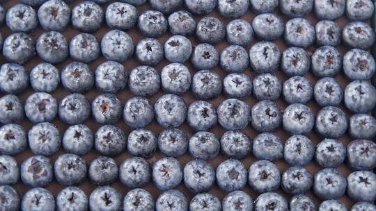 怡颗莓蓝莓