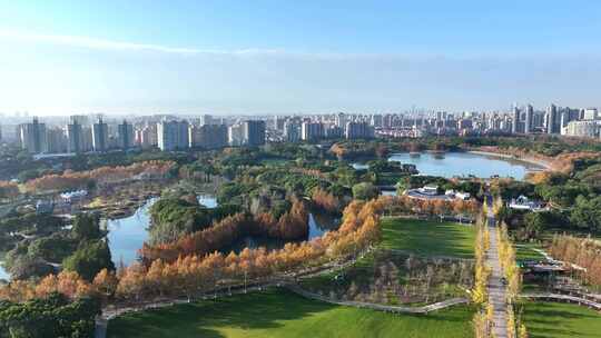 上海世纪公园秋天风景