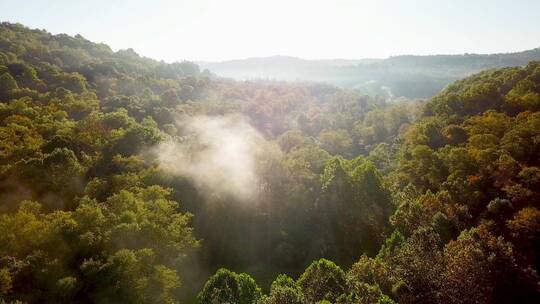 航拍森林美丽的清晨雾气