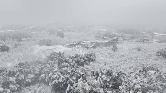 武汉东湖风景区冬季雪景风光