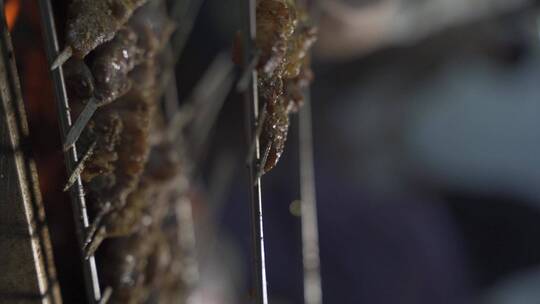 竖屏 烧烤 美食  淄博烧烤