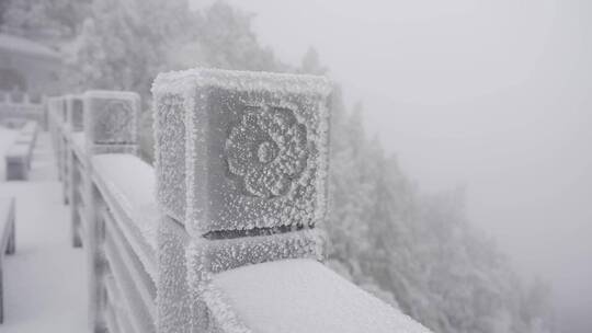 雾淞 雪景 看雪