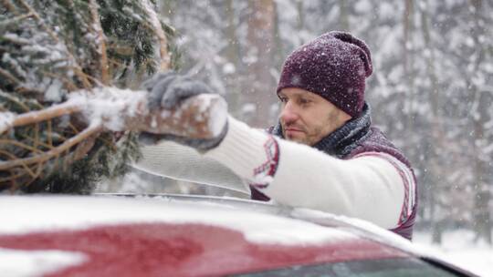 雪中拉圣诞树的男人