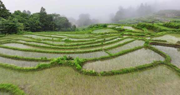 梯田航拍