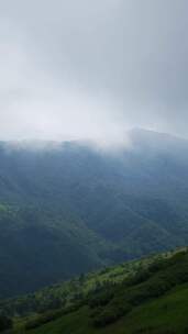 竖版航拍湖北神农架5A景区天际岭云海