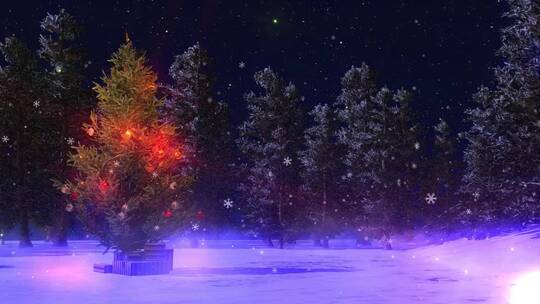 雪地里的圣诞树视频素材模板下载