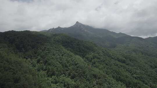 青山树林山脉深林森林大疆航拍dlog