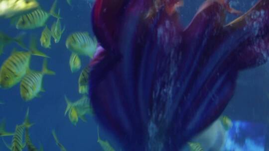 美人鱼表演潜水员海底世界