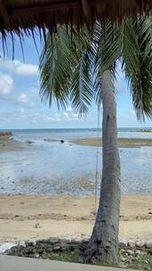椰子树前的海滩景观