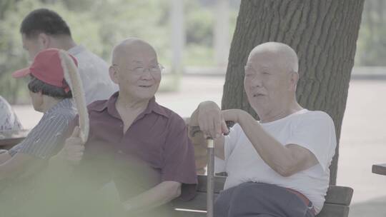 老人们在公园休闲打牌下棋 重阳节 关爱老人