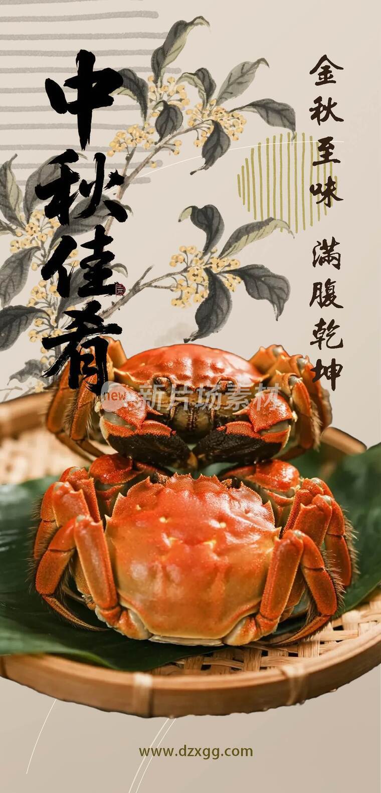 金秋至味满腹乾坤大闸蟹宣传详情1