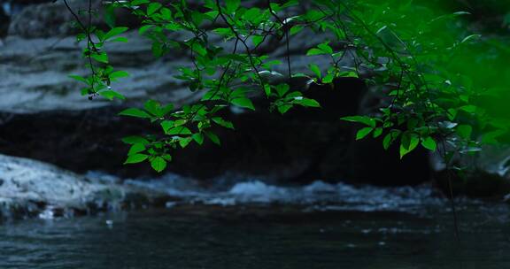 山泉山间溪流升格生态环境唯美