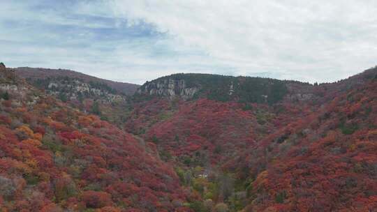 秋天山林红叶自然风光
