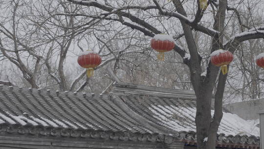 北京雪景 北京下雪