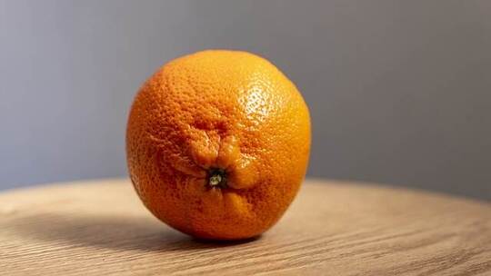 何园之路 轻松 氛围电子 合成器 低音