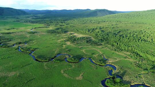 航拍内蒙古哈乌尔森林湿地弯曲的河流