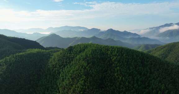 高山竹海云雾云海航拍杭州余杭百丈