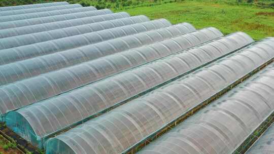 高山大棚蔬菜水果种植基地视频素材模板下载