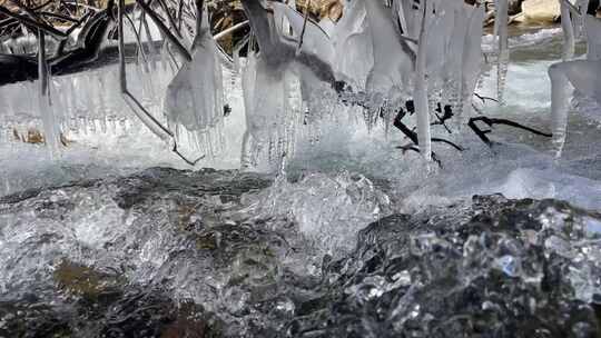 冰雪融化溪水从树干冰柱流淌
