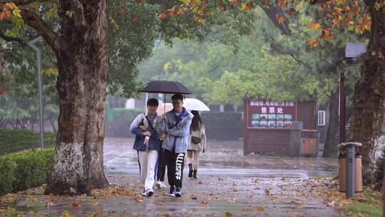 好兄弟公园里雨中散步