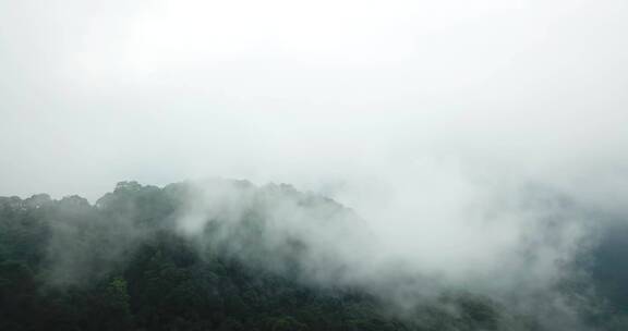 云气山林、烟雾缭绕、苍翠氤氲天台山 (16)
