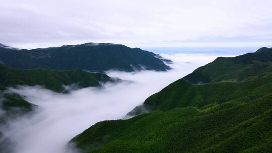 航拍雨后山谷中的云雾 安吉云海