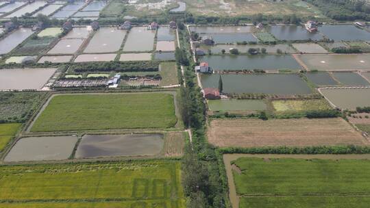 航拍农业种植稻田鱼塘